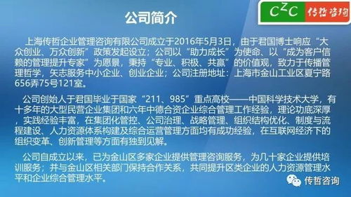 傳哲咨詢服務(wù)企業(yè)項(xiàng)目2018版 精準(zhǔn)策劃，驅(qū)動(dòng)未來